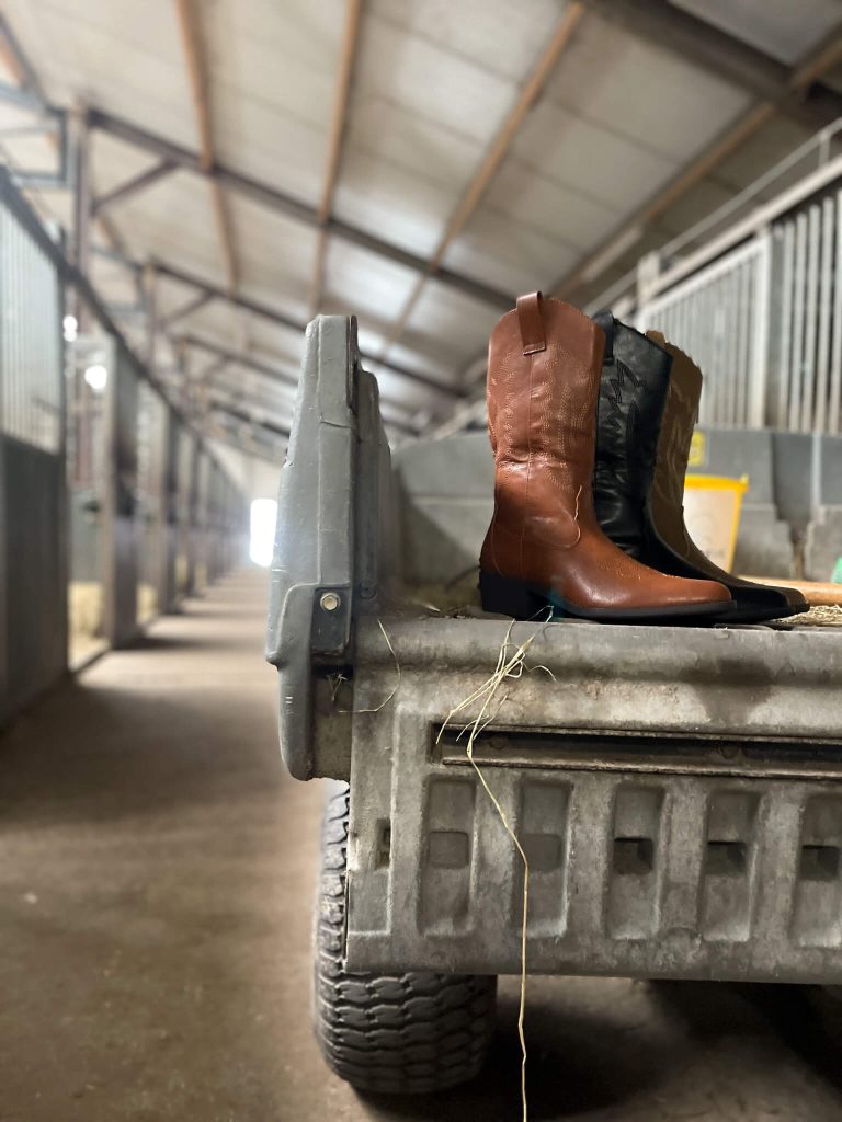 Rodeo Chic with Henkelman Claudia Ghizzani Western Boots