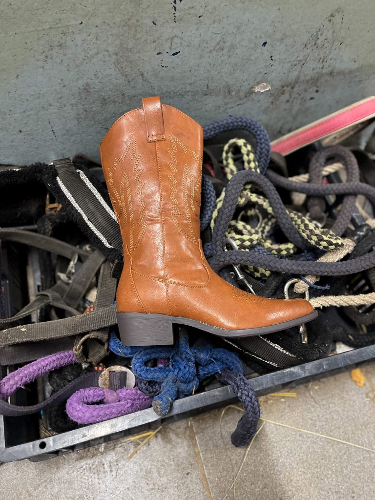 Rodeo Chic with Henkelman Claudia Ghizzani Western Boots