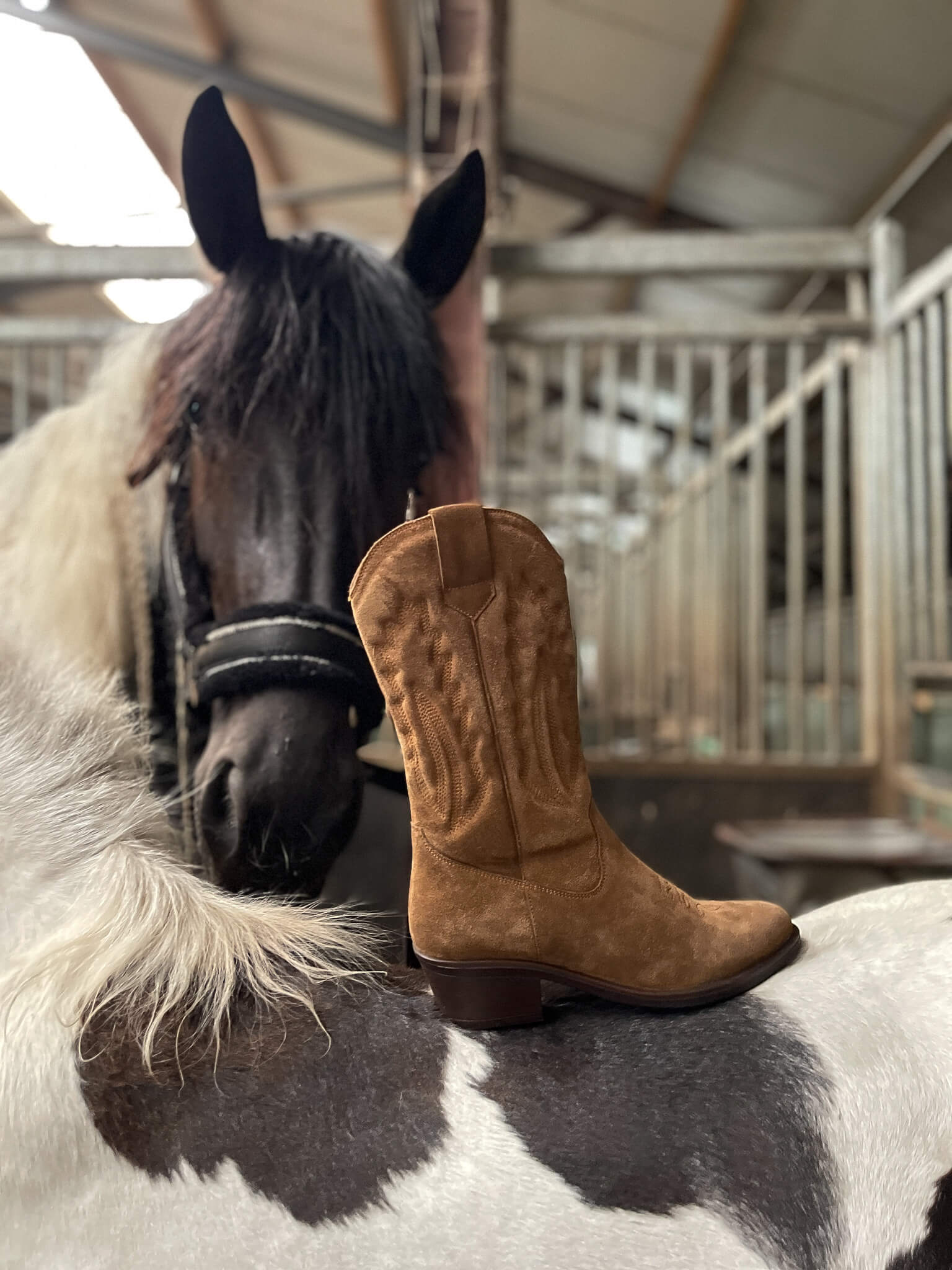 Rodeo Chic with Henkelman Cafe Moda Western Boots