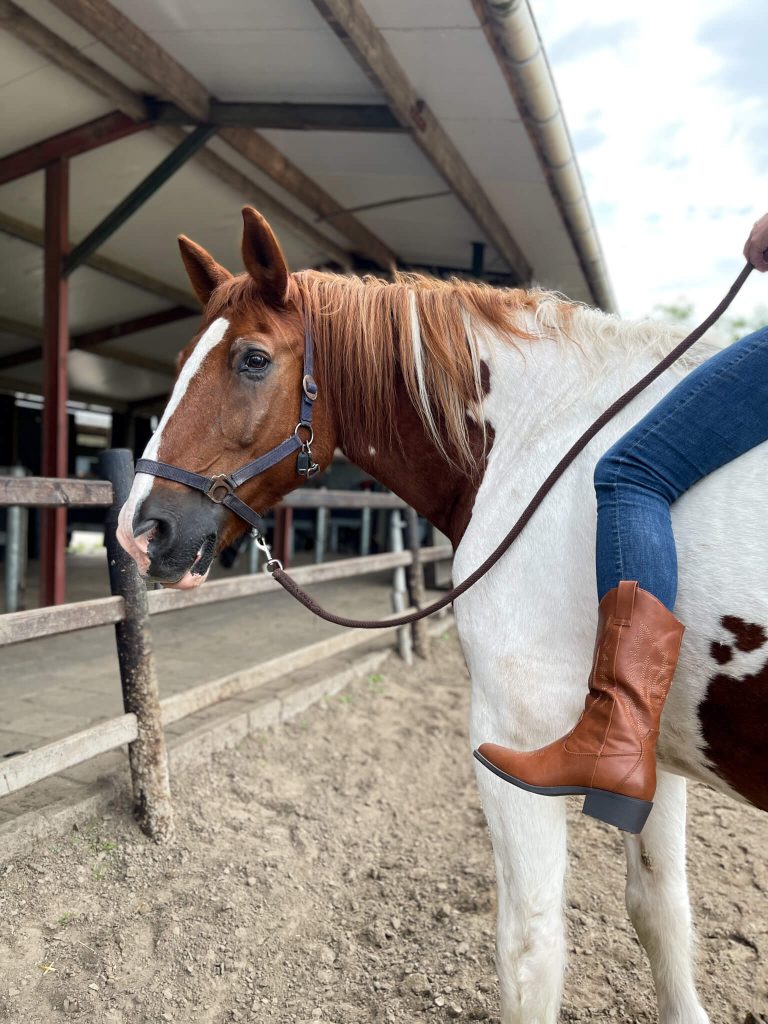 Rodeo Chic with Henkelman Claudia Ghizzani Western Boots