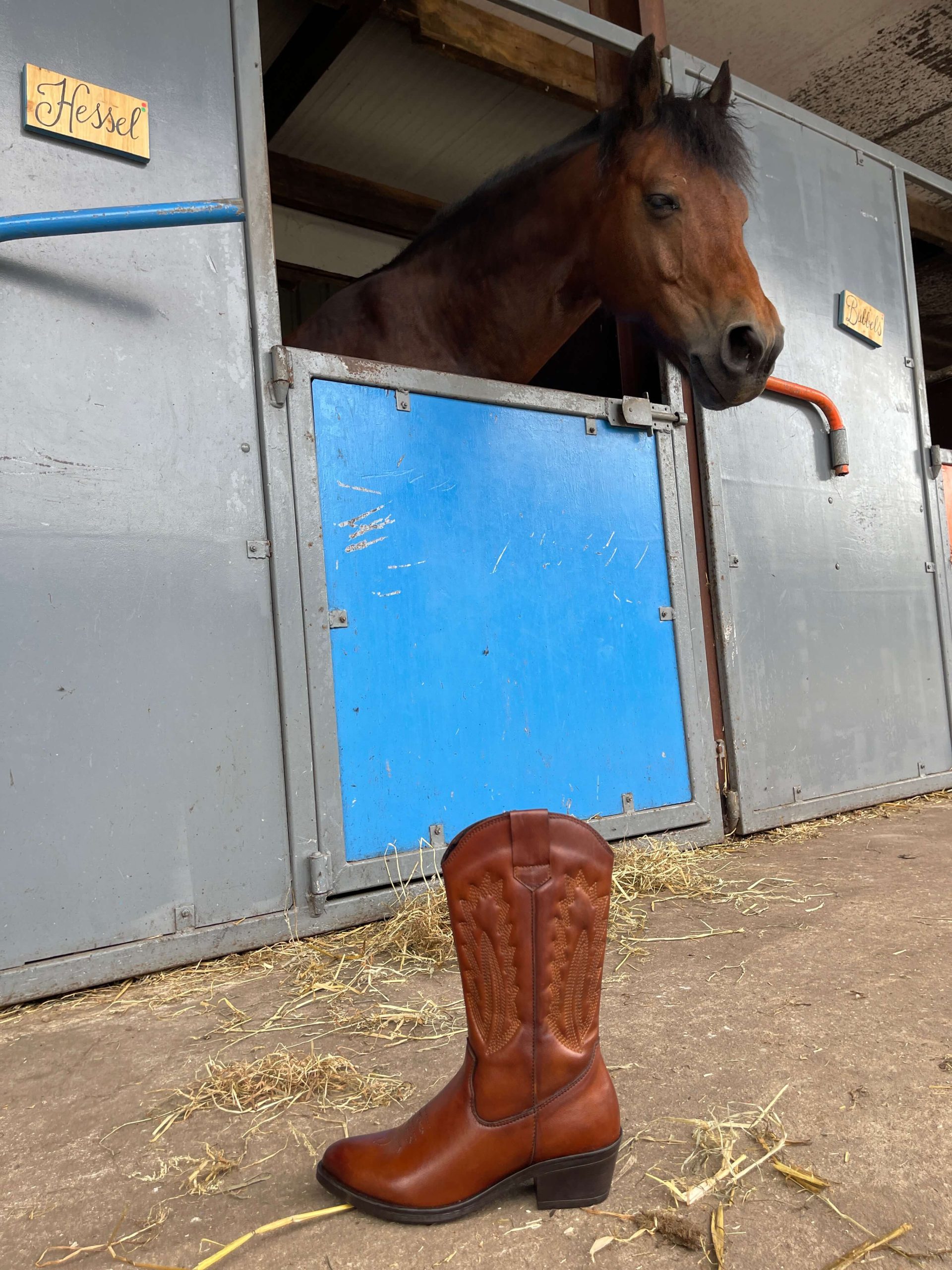 Rodeo Chic with Henkelman Cafe Moda Western Boots