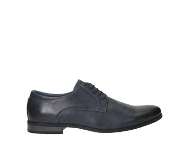 3.HH1111 Navy Pu